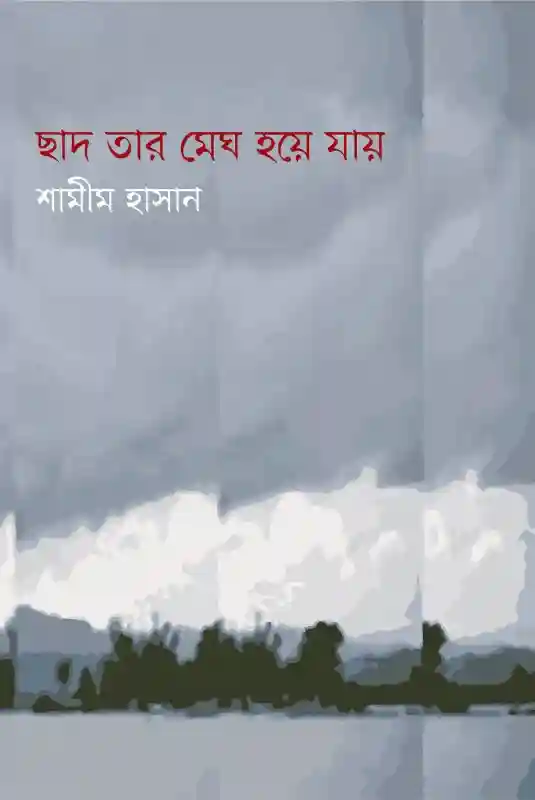 ছাদ তার মেঘ হয়ে যায় : শামীম হাসান (কবিতা-২০২২)